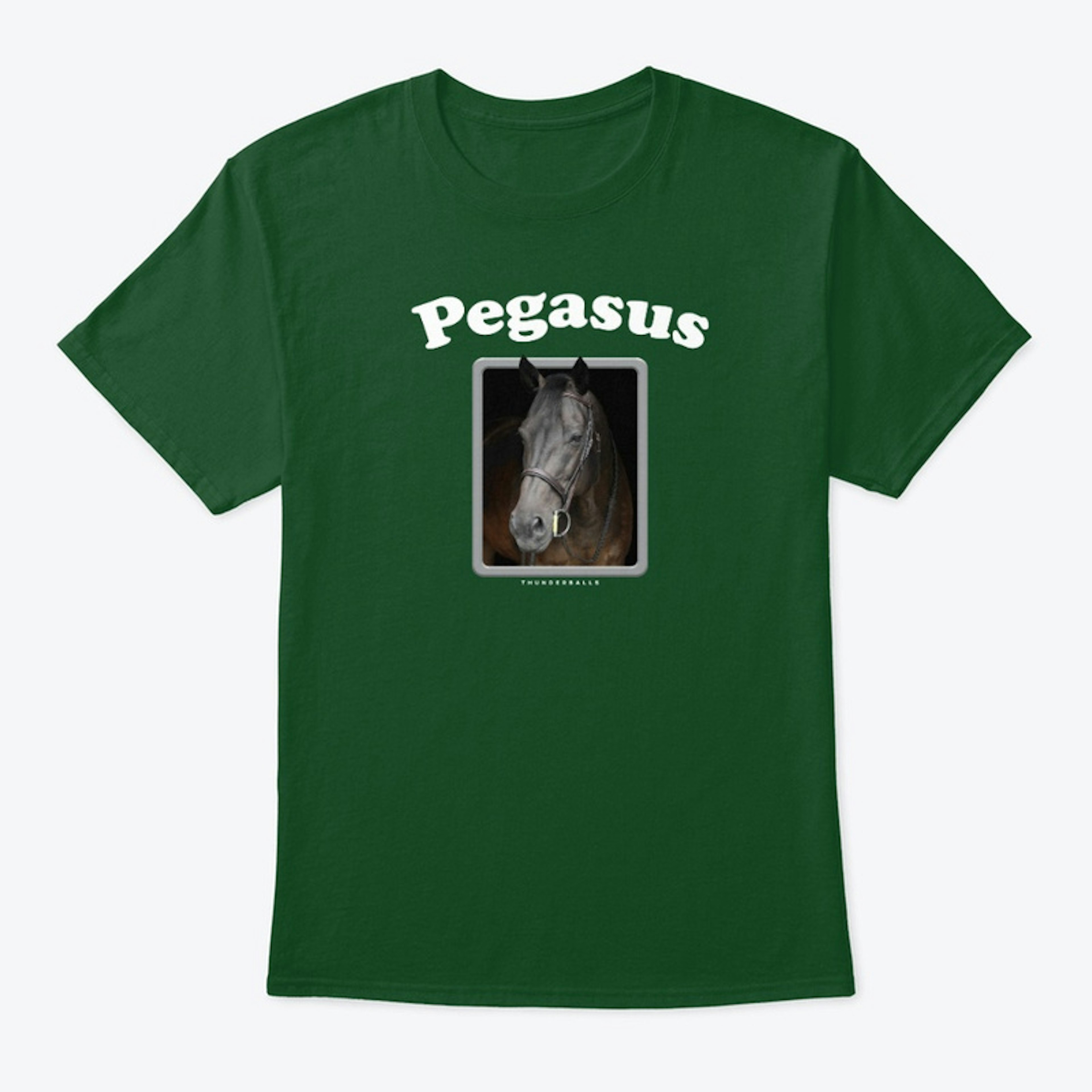 Pegasus 01