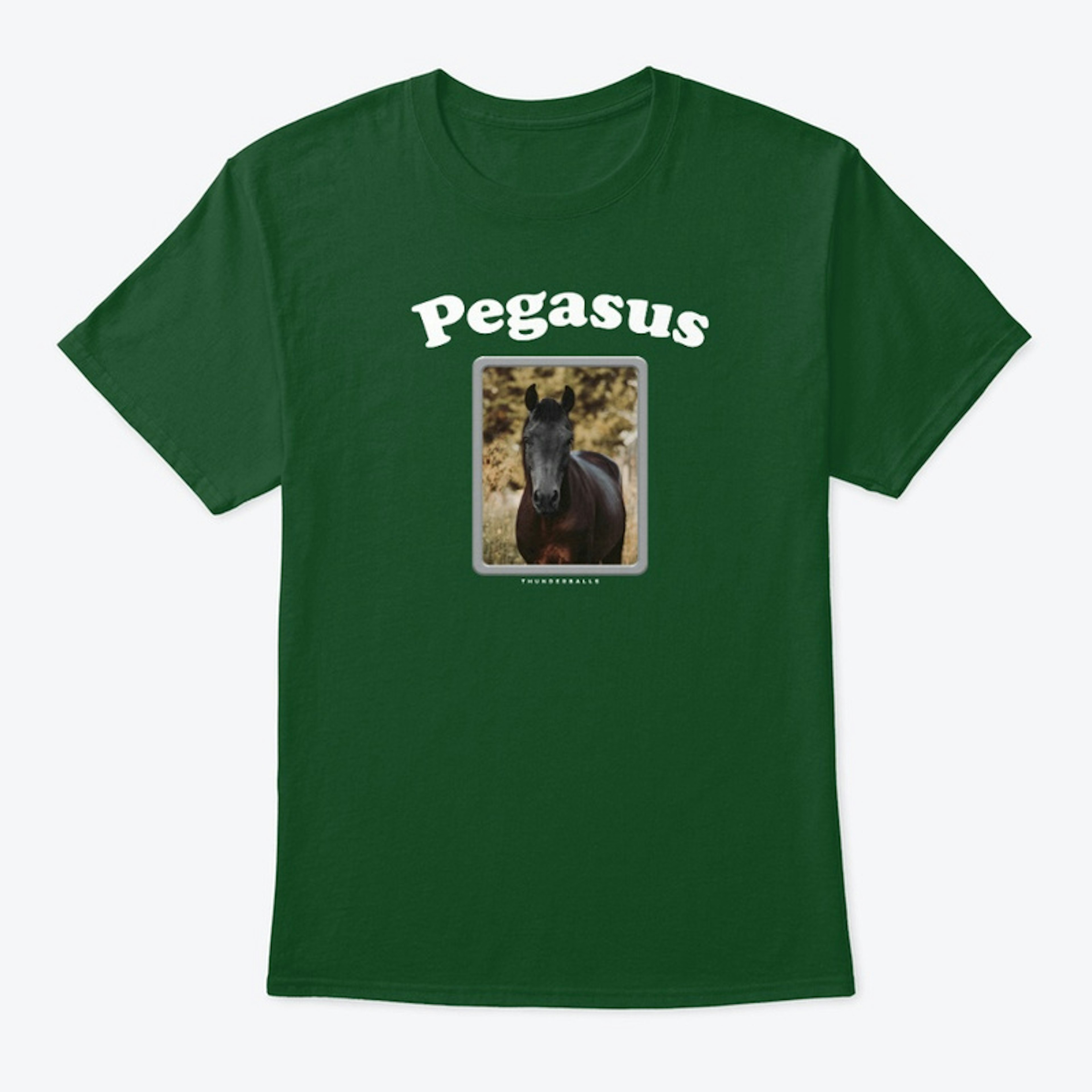 Pegasus 02